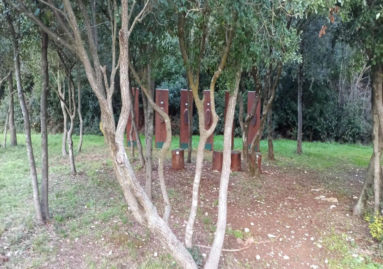 Apartmani Natasa Vrsar Bagian luar foto