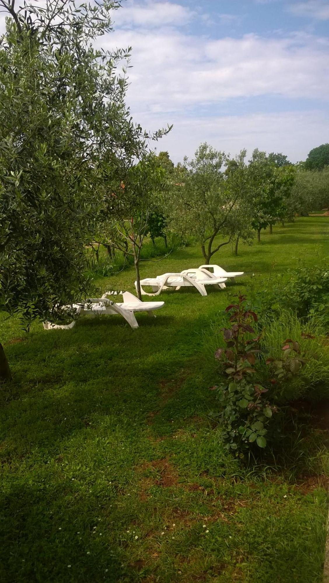 Apartmani Natasa Vrsar Bagian luar foto