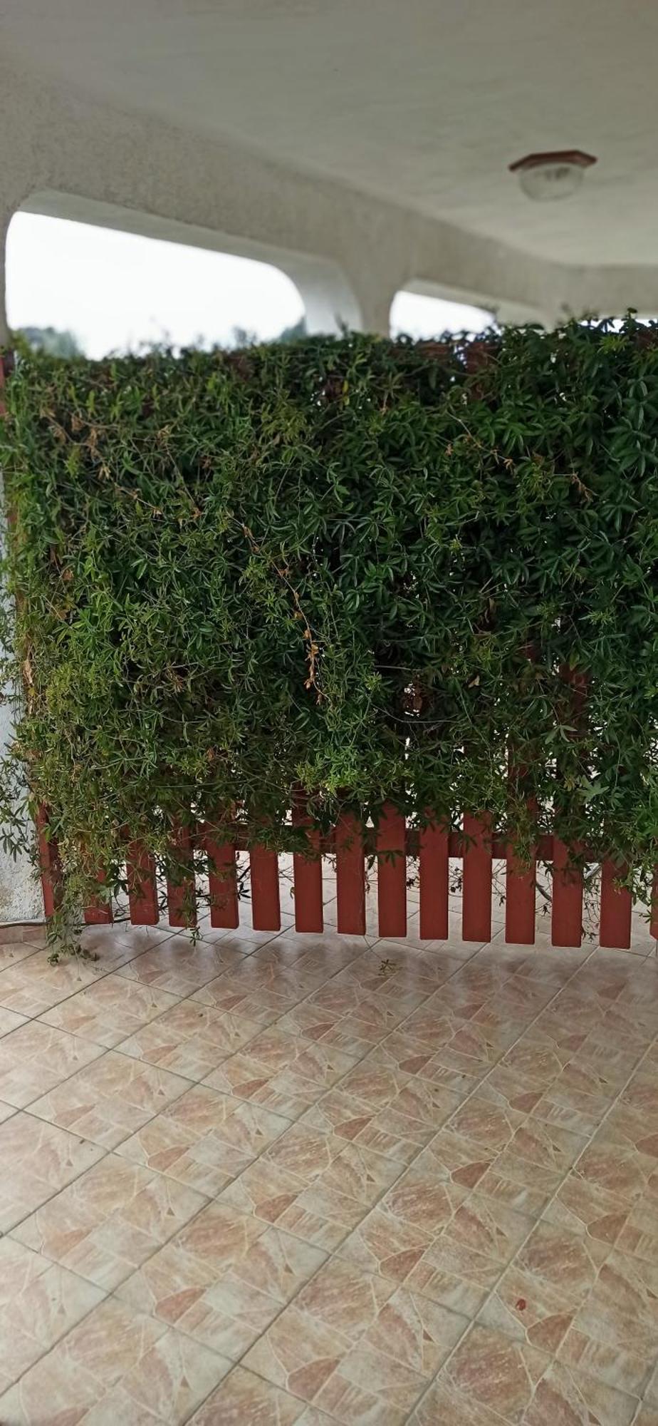 Apartmani Natasa Vrsar Bagian luar foto